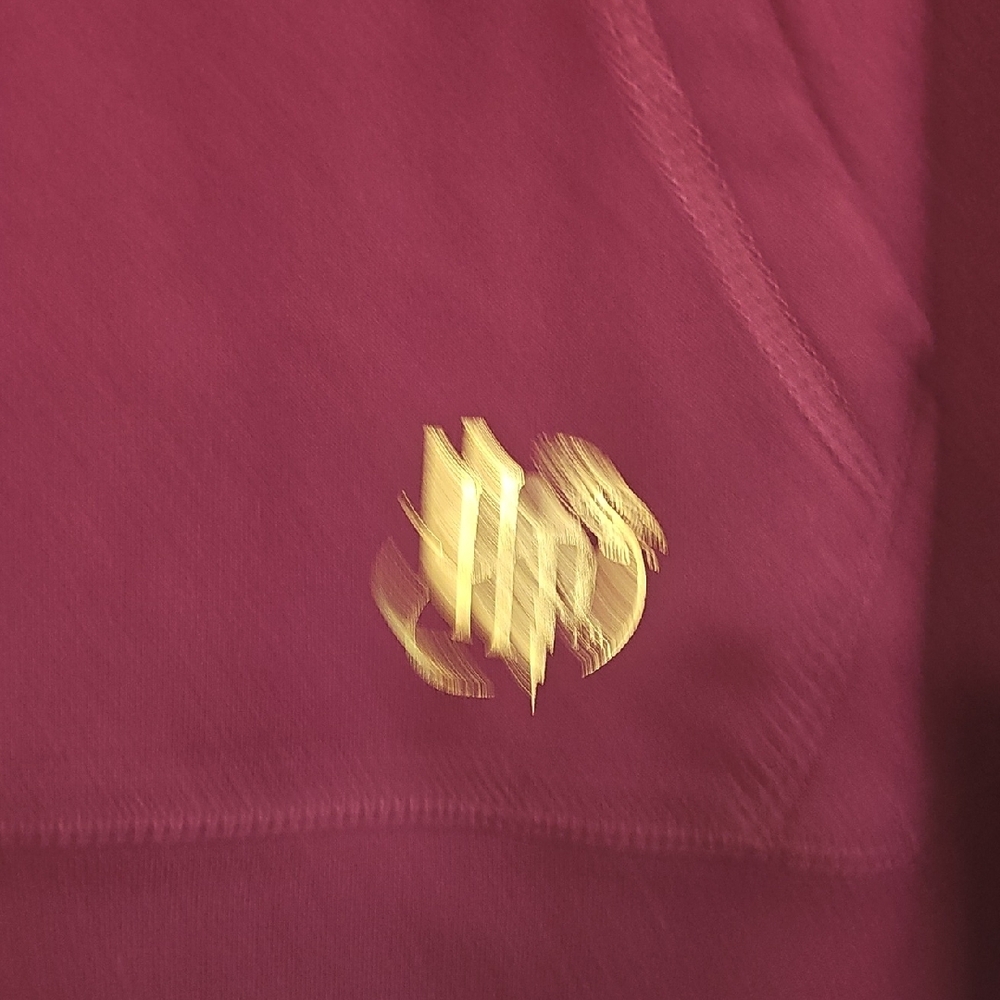 Harry Potter Maroon Hoodie with Yellow Accents - Picture 3 of 4